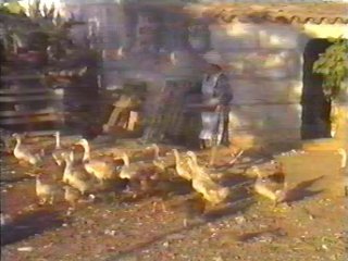CAMPO - (25)  LABRANZA